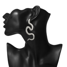 Load image into Gallery viewer, Personality twisted geometric hip-hop earrings women exaggerated snake-shaped fashion embossed long earrings
