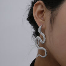 Load image into Gallery viewer, Personality twisted geometric hip-hop earrings women exaggerated snake-shaped fashion embossed long earrings
